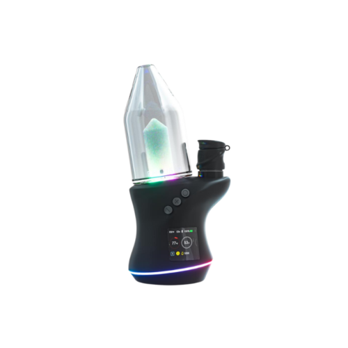 Focus V Carta Sport